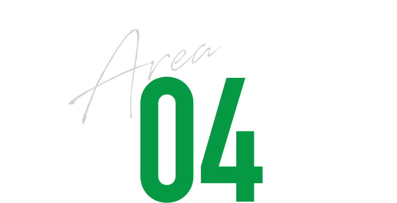 02 Area