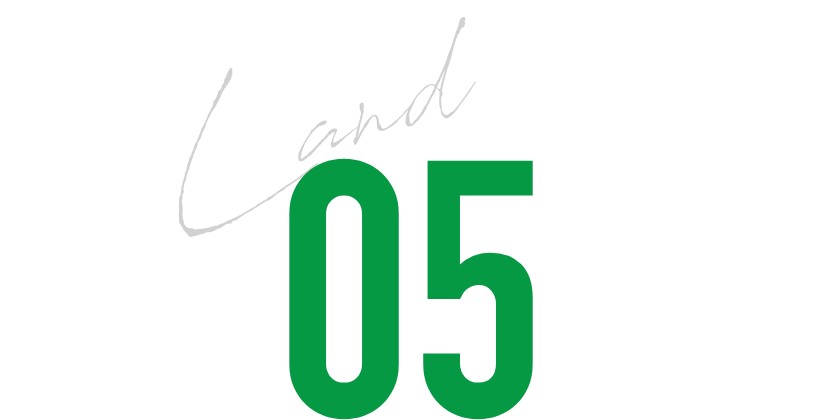 05 Land